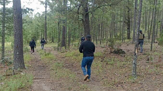 Localiza FGE restos óseos durante rastreo en Balleza