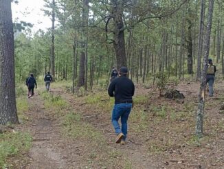 Localiza FGE restos óseos durante rastreo en Balleza