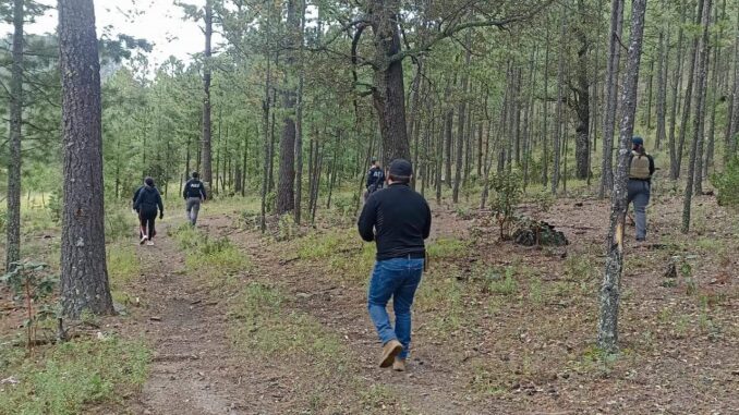 Localiza FGE restos óseos durante rastreo en Balleza