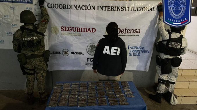 Asegura Célula BOI más de 700 cartuchos en Guadalupe y Calvo