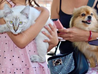 ¡Cuida a tu mascota de la pirotecnia! emite Municipio recomendaciones por fiestas patrias