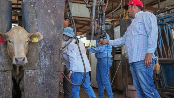 Presenta Chihuahua a USDA avances en estrategia contra el Gusano Barrenador del Ganado