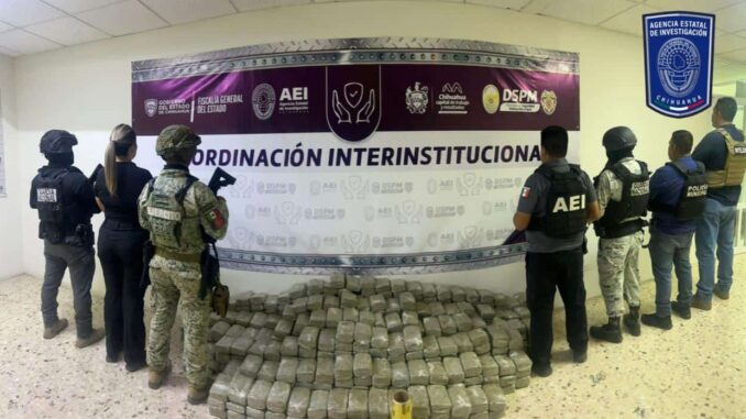 Aseguran en operativo conjunto cerca de 300 kilos de marihuana en casa de Granjas Cerro Grande