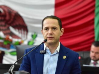 Solicitan plan integral de manejo humanitario de perros en situación de calle en localidad de Creel