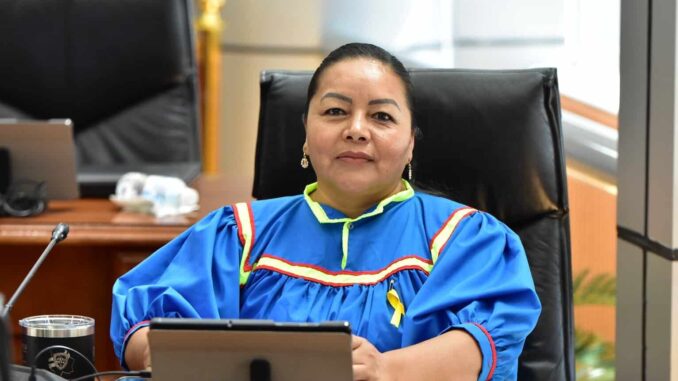 Propone Congreso acciones para proteger el derecho a la salud de las mujeres indígenas en México