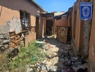 Aseguró FGE 22 animales víctimas de maltrato durante el mes de agosto