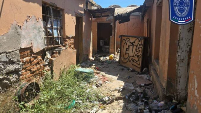 Aseguró FGE 22 animales víctimas de maltrato durante el mes de agosto