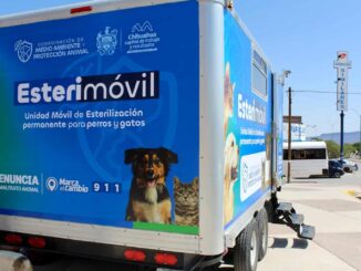¡Agenda cita! Estará el Esterimóvil de Municipio en el centro comunitario Mármol III