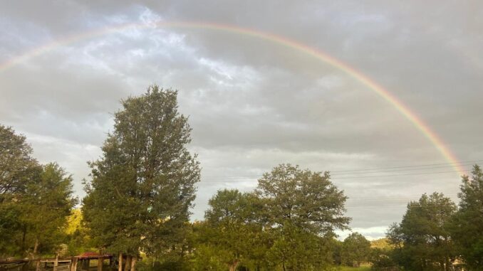 Pronostican lluvias en el estado para este viernes