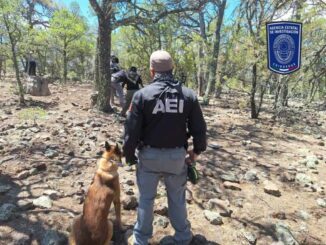 Identifican a dos cuerpos masculinos que fueron localizados en ‘El Willy’