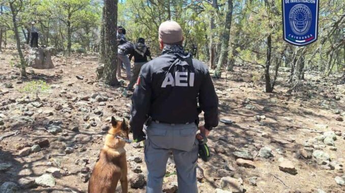 Identifican a dos cuerpos masculinos que fueron localizados en ‘El Willy’