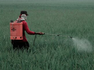 Gobierno de México prohíbe 35 plaguicidas peligrosos