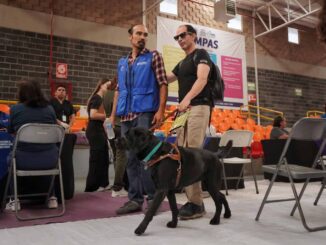 Ofrecen más de 300 atenciones en la Primera Jornada de Salud Inclusiva para Personas con Discapacidad