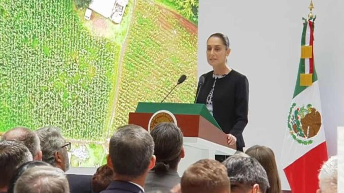 Primer Informe de Gobierno de Claudia Sheinbaum Pardo