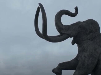 Especialistas de la UNAM descubren nuevo linaje de mamut