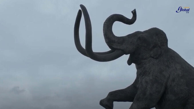 Especialistas de la UNAM descubren nuevo linaje de mamut