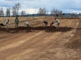 Destruyen pista clandestina utilizada por el crimen organizado en Guachochi