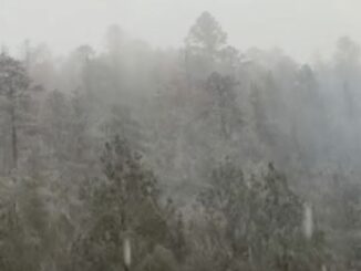 Sierra Tarahumara amanece bajo la nieve por impacto de la Tercera Tormenta Invernal