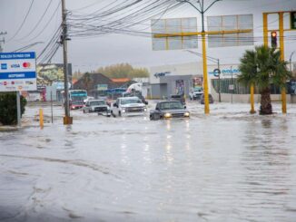 Xóchitl Contreras reta a Cruz Pérez: “Lo espero en el V Distrito para que dé la cara a los ciudadanos”