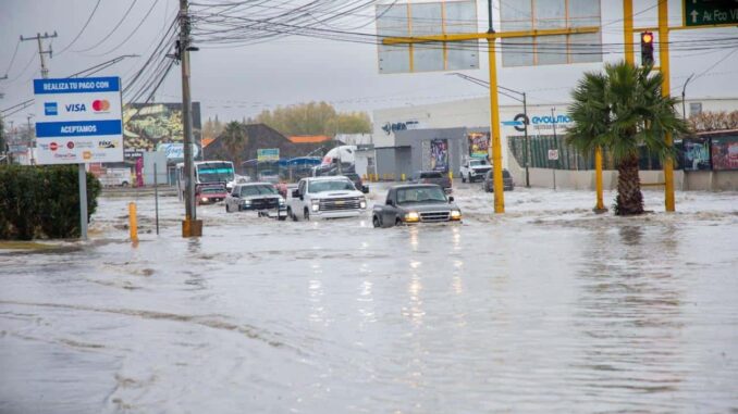 Xóchitl Contreras reta a Cruz Pérez: “Lo espero en el V Distrito para que dé la cara a los ciudadanos”