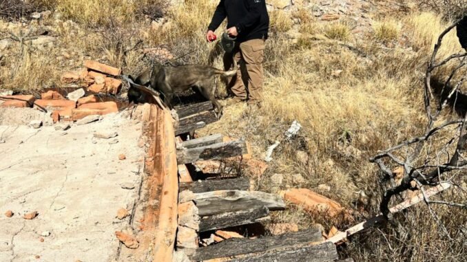 Continúa FGE la búsqueda de Jaime Leónides Cano Sotelo y Jesús Jerónimo Sánchez Tarín en el sector del Aranjuez