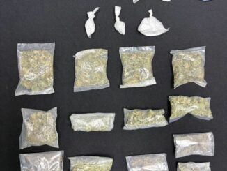 Detiene AEI a masculino en posesión de mariguana y cristal en la colonia Cerradas del Parque