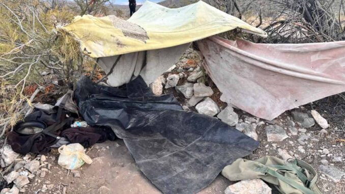 Aseguran arma de fuego en campamento clandestino durante Operativo Blindaje Carretero