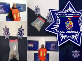 Arrestan a dos por posesión de marihuana en Manuel Valdez y Pronaf