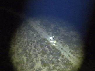 Localizan con apoyo de drones a maratonistas extraviados en Rosales