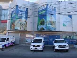 Mantiene Municipio el servicio de esterilización permanente en la Coordinación de Medio Ambiente y Protección Animal