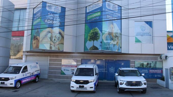 Mantiene Municipio el servicio de esterilización permanente en la Coordinación de Medio Ambiente y Protección Animal