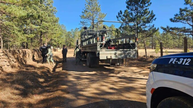 Destruyen campamento del crimen organizado en Guachochi
