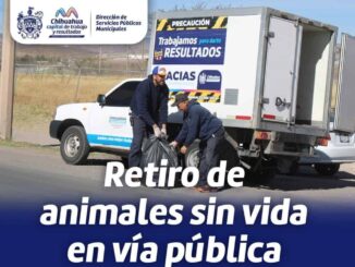 Ofrece Gobierno Municipal servicio de retiro de animales sin vida en la vía pública