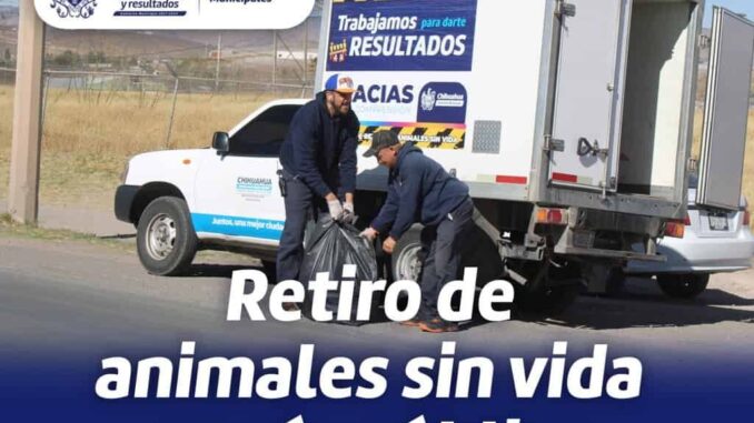 Ofrece Gobierno Municipal servicio de retiro de animales sin vida en la vía pública