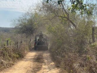 Confirma FGR identificación de cinco cuerpos de trabajadores de mina secuestrados en Sinaloa