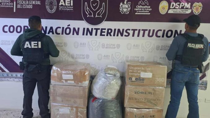 En operativo conjunto DSPM y FGE aseguran más de 90 kilos de aparente marihuana