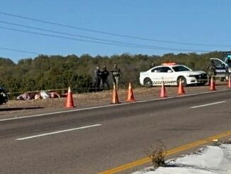 Hallan tres hombres sin vida en la carretera Cuauhtémoc–Chihuahua