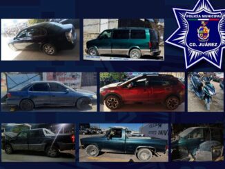 Recuperan 10 vehículos robados durante operativo especial