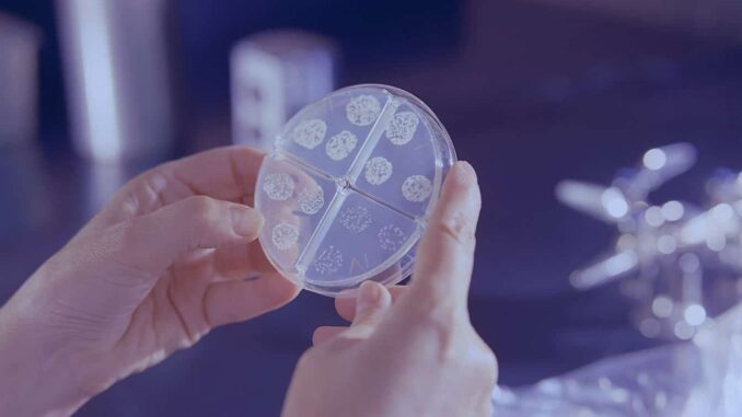 Expertos de UNAM buscan en el río Querétaro bacterias con resistencia antimicrobiana