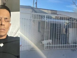 Presentan a detenido durante cateos simultáneos en Rinconada Los Nogales