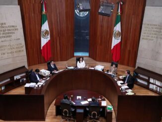 TEPJF frena uso de siglas CSP por organización que busca ser partido político