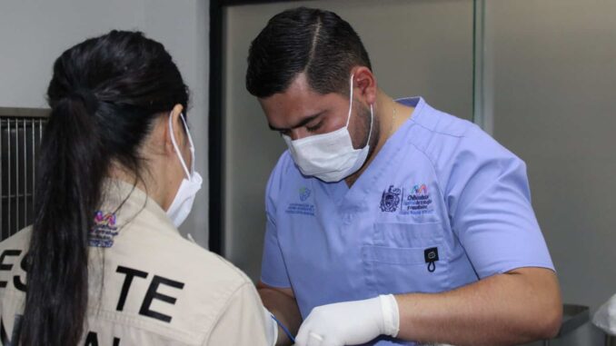 Cuida a tu mascota: fomenta Municipio servicio de esterilización para perros y gatos