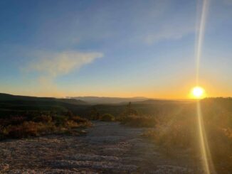 Prevén incremento de temperaturas en el estado