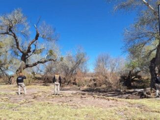 Realiza FGE Noroeste operativo para la búsqueda de personas desparecidas en Casas Grandes