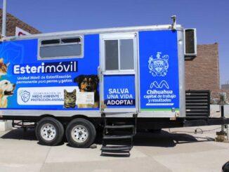 Estará Esterimóvil del Municipio en Jardines del Sol con servicios gratuitos para perros y gatos