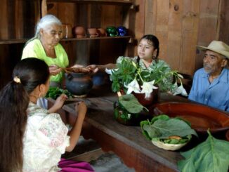 Iglesia mexicana llama a fortalecer la familia para frenar la violencia