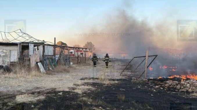 Incendio consume más de una hectárea en colonia Sacramento