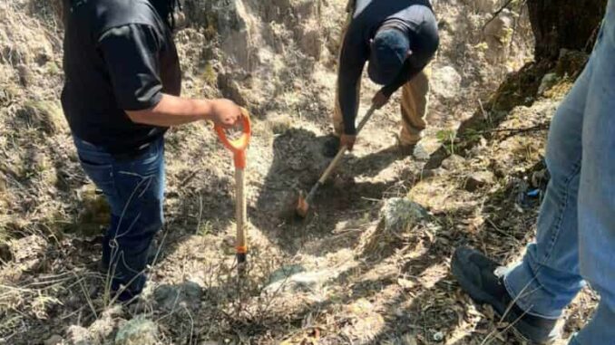 Localiza Fiscalía Zona Sur restos óseos durante rastreo en carretera a Guadalupe y Calvo