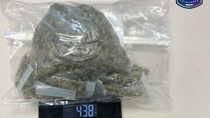 Detiene COE a probable narcomenudista con casi medio kilo de mariguana – Fiscalía General del Estado de Chihuahua