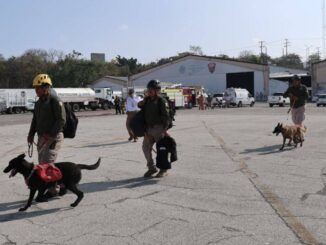 Refuerzan búsqueda de niña de 9 años en Chiapas con binomios caninos